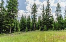 510 Haskill Ranch Road Haskill Ranch Rd, Kila