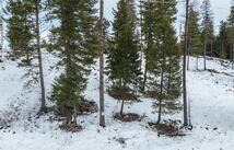 353 Mountain Meadow Drive, Kalispell