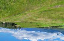 89 Grassy Loop, Eureka