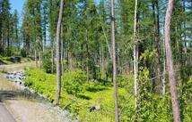 237 Timberjack Trail, Bigfork