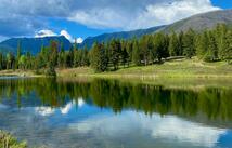 295 Burks Bottom Road, Eureka