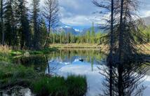 295 Burks Bottom Road, Eureka