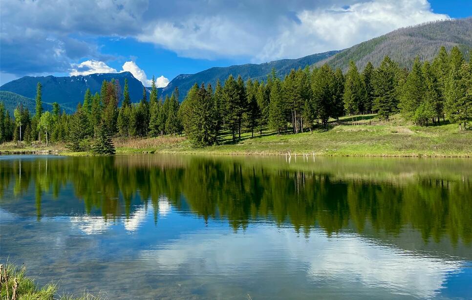 295 Burks Bottom Road, Eureka