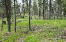 109 Coffee Drive, Eureka