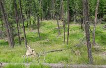 109 Coffee Drive, Eureka