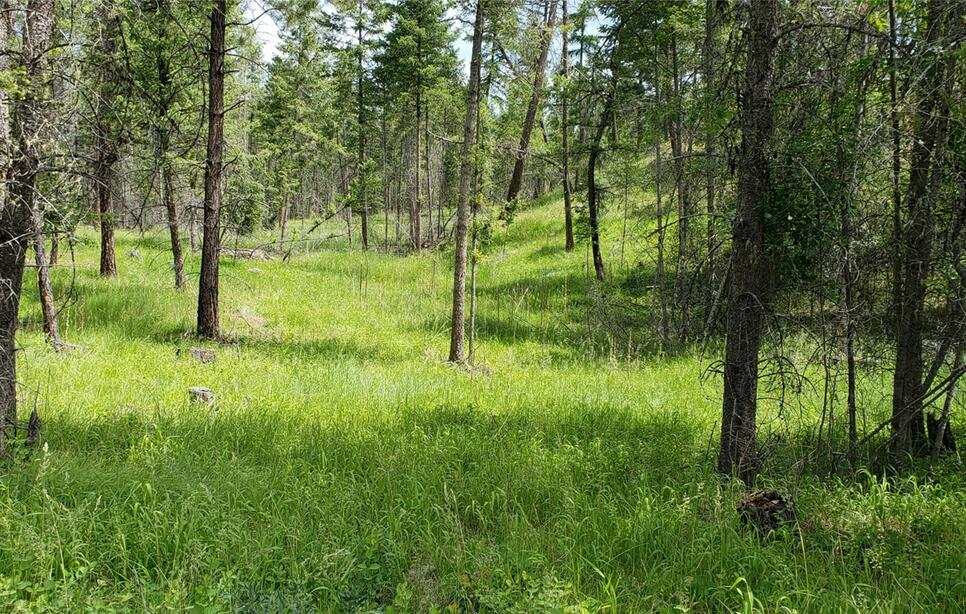 109 Coffee Drive, Eureka