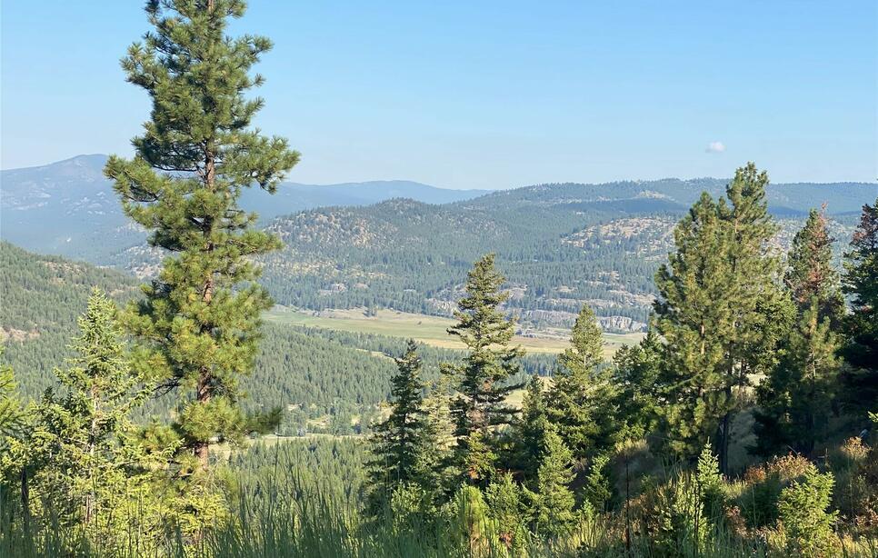 Nhh Whitetail Ridge, Kalispell