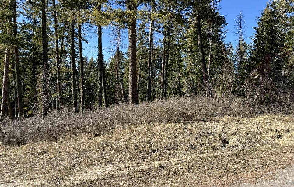 137 Wood Ridge Drive, Columbia Falls