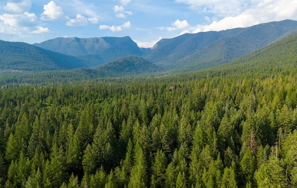 Nhn Haven Bend, Eureka