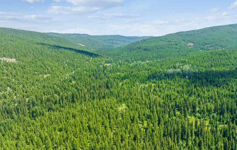 Nhn Pinkham Road 160, Rexford