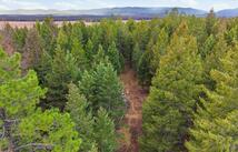 2250 Whitefish Ranch Road, Whitefish