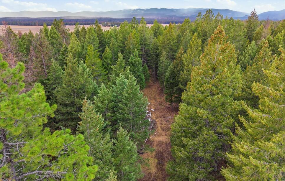 2250 Whitefish Ranch Road, Whitefish