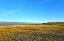 40551 Tower Road, Polson