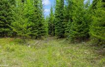 Lot 14 Tamarack Lane, Rexford