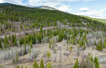 991 Haskill Ranch Road, Kila