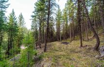 Nhn Black Lake Road, Rexford