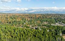226 Lupfer Road, Whitefish