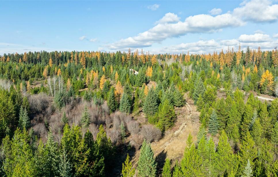 226 Lupfer Road, Whitefish