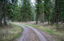 Browns Meadow Road, Kila