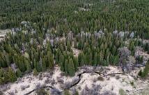 Browns Meadow Road, Kila