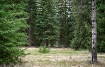 Browns Meadow Road, Kila