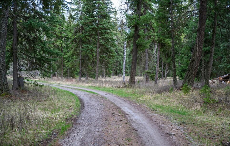 Browns Meadow Road, Kila