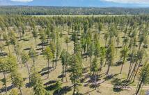 272 Layton Road, Whitefish