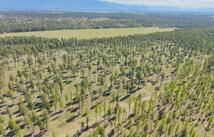 272 Layton Road, Whitefish