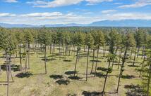 272 Layton Road, Whitefish
