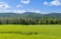 6999 Fortine Creek Road 31 Acres, Trego