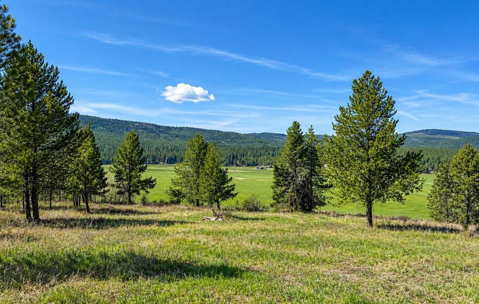 2890 Lower Lost Prairie Road, Marion