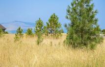 Nhn Long Lake Drive, Polson