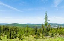Griffin Creek Road, Marion