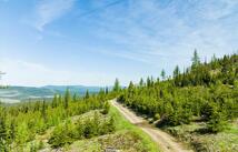 Griffin Creek Road, Marion