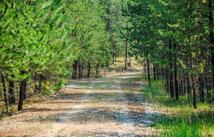 195 Osprey Way, Marion
