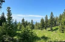 Emmons Canyon Road, Kalispell