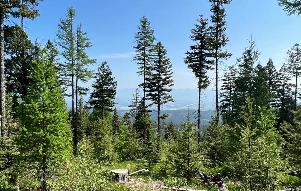 Emmons Canyon Road, Kalispell