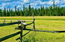 Nhn Lupfer Meadows Road, Whitefish