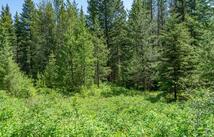 200 Stageline Drive, Whitefish