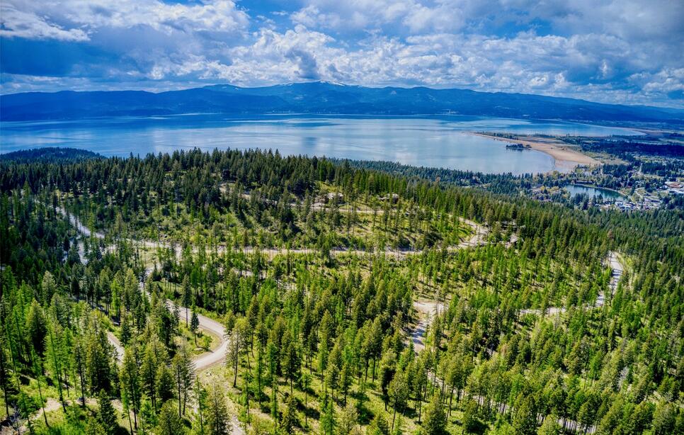 150 Trading Post Trail, Bigfork