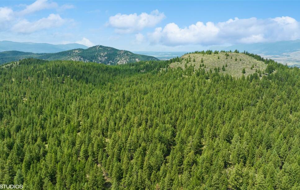 Nhn Pinkham 279 Acres Road, Rexford