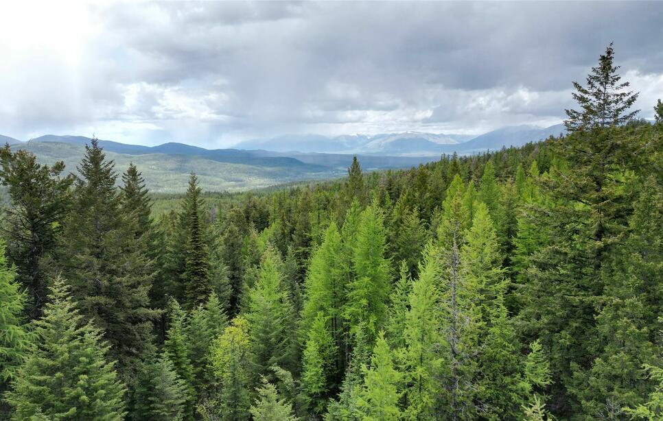 887 Morning Sky Drive, Trego