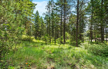 111 Grandview Terrace, Lakeside