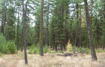 Tbd Tract 35a High Country Road, Plains