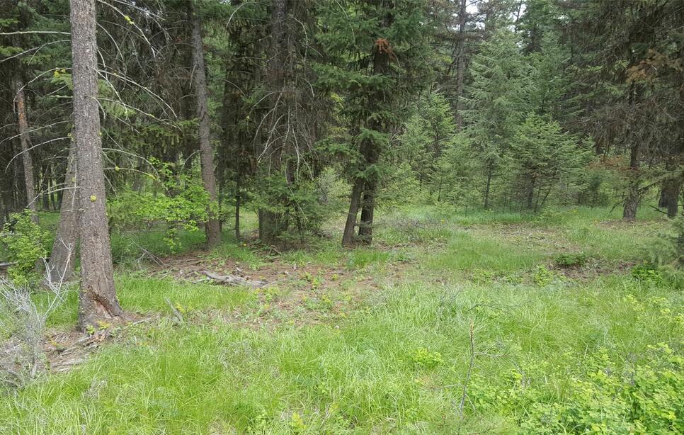 Tbd Tract 35a High Country Road, Plains