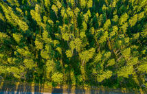 1323 Whitefish Village Drive, Whitefish