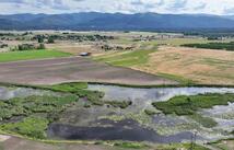 Nhn Lower Lynch Creek Road, Plains