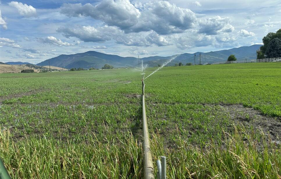 Nhn Lower Lynch Creek Road, Plains