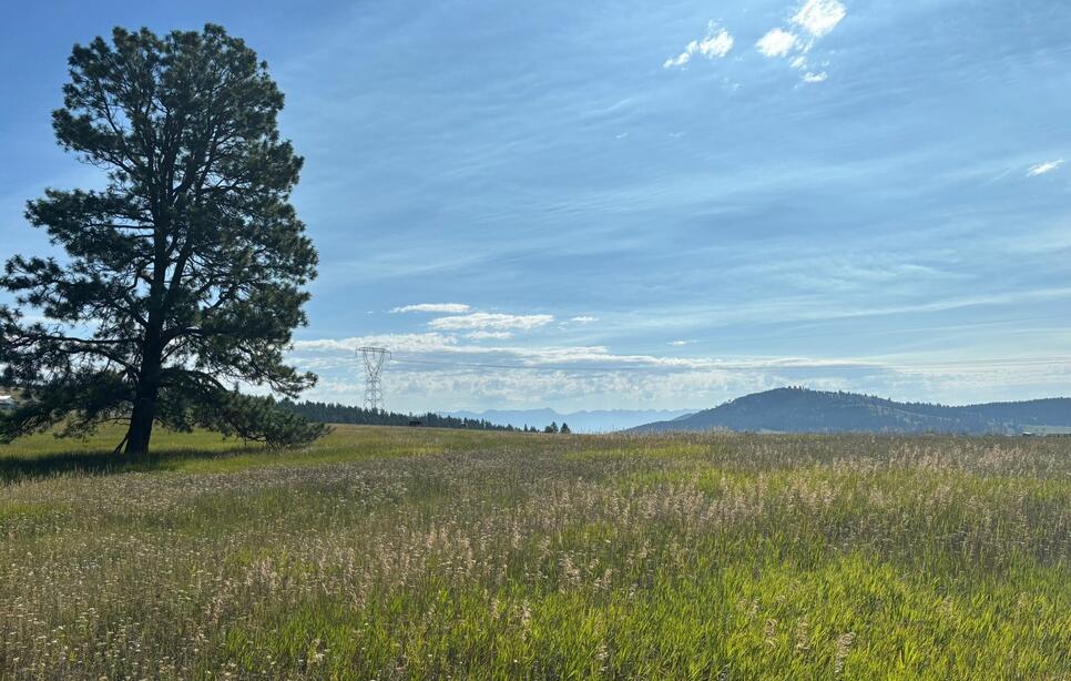 711 Morning View Drive, Kalispell