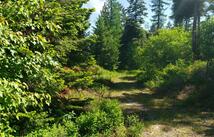 500 Blacktail Heights Road, Lakeside